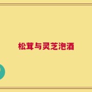 松茸与灵芝泡酒