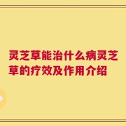 灵芝草能治什么病灵芝草的疗效及作用介绍