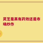 灵芝是真有药效还是市场炒作