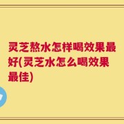 灵芝熬水怎样喝效果最好(灵芝水怎么喝效果最佳)