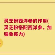 灵芝粉西洋参的作用(灵芝粉搭配西洋参，加强免疫力)
