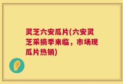 灵芝六安瓜片(六安灵芝采摘季来临，市场现瓜片热销)