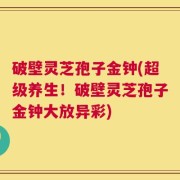 破壁灵芝孢子金钟(超级养生！破壁灵芝孢子金钟大放异彩)