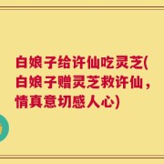 白娘子给许仙吃灵芝(白娘子赠灵芝救许仙，情真意切感人心)