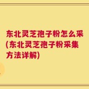 东北灵芝孢子粉怎么采(东北灵芝孢子粉采集方法详解)