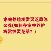 家庭养殖观赏灵芝草怎么养(如何在家中养护观赏性灵芝草？)