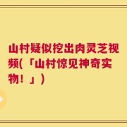 山村疑似挖出肉灵芝视频(「山村惊见神奇实物！」)