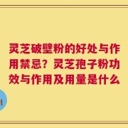 灵芝破壁粉的好处与作用禁忌？灵芝孢子粉功效与作用及用量是什么