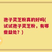孢子灵芝粉真的好吗(试试孢子灵芝粉，有哪些益处？)