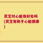 灵芝对心脏有好处吗 (灵芝有助于心脏健康)