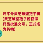 药字号灵芝破壁孢子粉(灵芝破壁孢子粉获得药品批准文号，正式成为药物)