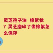 灵芝孢子油  棉絮状？灵芝磨碎了像棉絮怎么保存