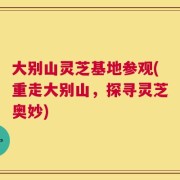 大别山灵芝基地参观(重走大别山，探寻灵芝奥妙)