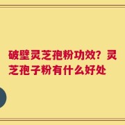 破壁灵芝孢粉功效？灵芝孢子粉有什么好处