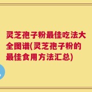 灵芝孢子粉最佳吃法大全图谱(灵芝孢子粉的最佳食用方法汇总)