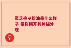 灵芝孢子粉油是什么样子 带你揭开其神秘外观
