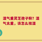 湿气重灵芝孢子粉？湿气太重，该怎么祛湿