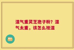 湿气重灵芝孢子粉？湿气太重，该怎么祛湿