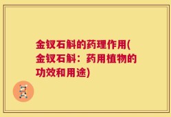 金钗石斛的药理作用(金钗石斛：药用植物的功效和用途)