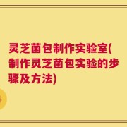 灵芝菌包制作实验室(制作灵芝菌包实验的步骤及方法)