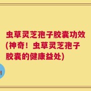 虫草灵芝孢子胶囊功效(神奇！虫草灵芝孢子胶囊的健康益处)