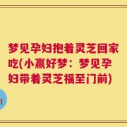 梦见孕妇抱着灵芝回家吃(小赢好梦：梦见孕妇带着灵芝福至门前)