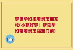 梦见孕妇抱着灵芝回家吃(小赢好梦：梦见孕妇带着灵芝福至门前)