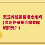 灵芝养殖需要晒太阳吗(灵芝养殖是否需要曝晒阳光？)