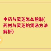 中药与灵芝怎么熬制(药材与灵芝的煲汤方法解析)