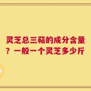 灵芝总三萜的成分含量？一般一个灵芝多少斤