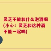 灵芝不能和什么泡酒喝(小心！灵芝和这种酒不能一起喝)