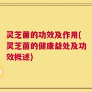 灵芝菌的功效及作用(灵芝菌的健康益处及功效概述)