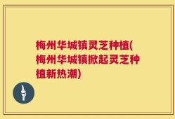 梅州华城镇灵芝种植(梅州华城镇掀起灵芝种植新热潮)