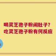 喝灵芝孢子粉闹肚子？吃灵芝孢子粉有何反应