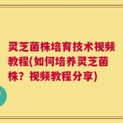 灵芝菌株培育技术视频教程(如何培养灵芝菌株？视频教程分享)