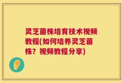 灵芝菌株培育技术视频教程(如何培养灵芝菌株？视频教程分享)