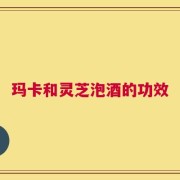 玛卡和灵芝泡酒的功效
