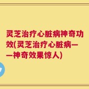 灵芝治疗心脏病神奇功效(灵芝治疗心脏病——神奇效果惊人)