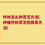 柞树怎么种灵芝方法(种植柞树灵芝的简易方法)