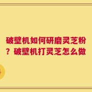 破壁机如何研磨灵芝粉？破壁机打灵芝怎么做