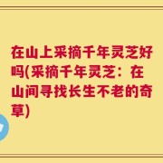 在山上采摘千年灵芝好吗(采摘千年灵芝：在山间寻找长生不老的奇草)