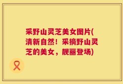 采野山灵芝美女图片(清新自然！采摘野山灵芝的美女，靓丽登场)