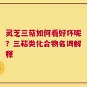 灵芝三萜如何看好坏呢？三萜类化合物名词解释