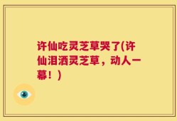 许仙吃灵芝草哭了(许仙泪洒灵芝草，动人一幕！)