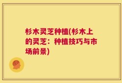 杉木灵芝种植(杉木上的灵芝：种植技巧与市场前景)