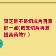 灵芝是不是切成片再煮好一点(灵芝切片再煮提高药效？)