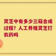 灵芝中有多少三萜合成过程？人工养殖灵芝打农药吗