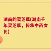 湖南的灵芝草(湖南千年灵芝草，传承中药文化)