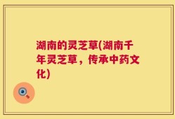 湖南的灵芝草(湖南千年灵芝草，传承中药文化)