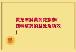 灵芝石斛黄芪花旗参(四种草药的益处及功效)